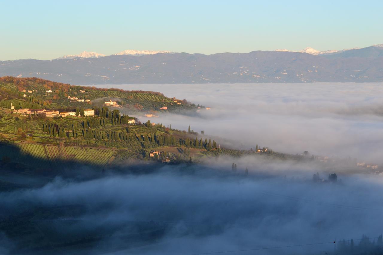 Bed and Breakfast Tenuta Di Capezzana Seano Exterior foto