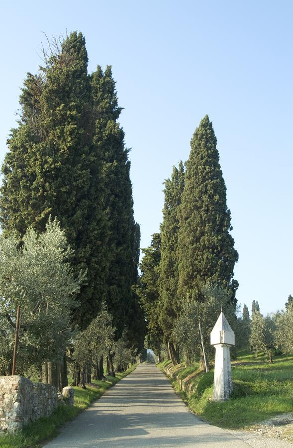 Bed and Breakfast Tenuta Di Capezzana Seano Exterior foto