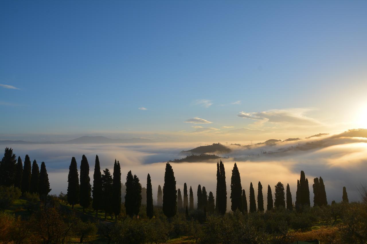 Bed and Breakfast Tenuta Di Capezzana Seano Exterior foto